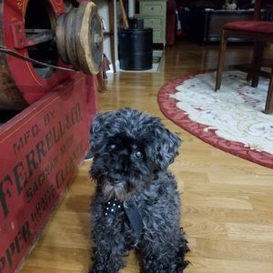 Meet your Posher, Kelly